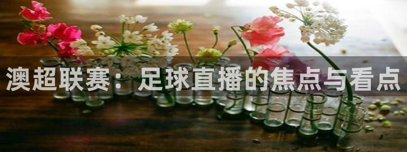 澳超联赛：足球直播的焦点与看点