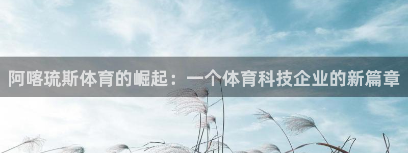 阿喀琉斯体育的崛起：一个体育科技企业的新篇章
