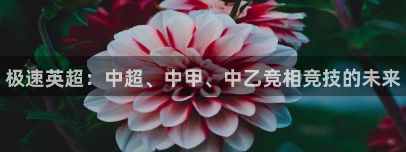 极速英超：中超、中甲、中乙竞相竞技的未来