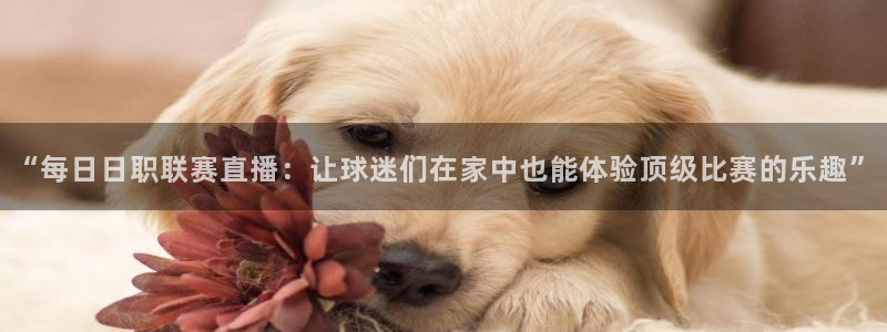 “每日日职联赛直播：让球迷们在家中也能体验顶级比赛的乐趣”