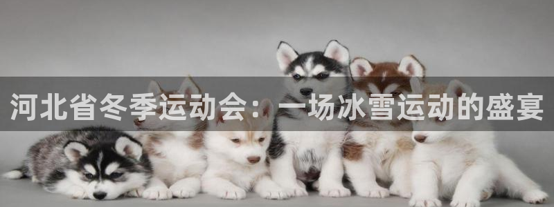 河北省冬季运动会：一场冰雪运动的盛宴