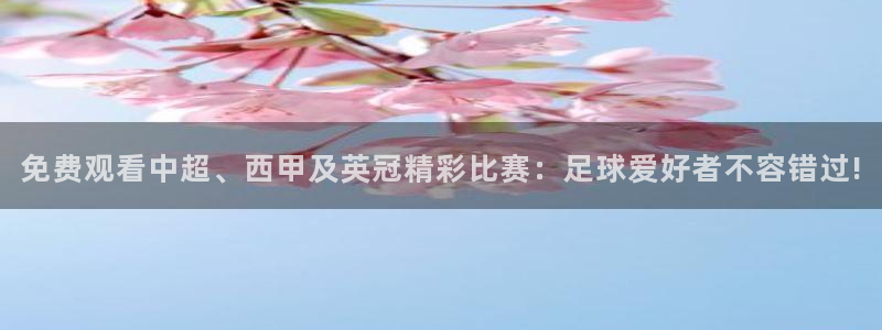 免费观看中超、西甲及英冠精彩比赛：足球爱好者不容错过!