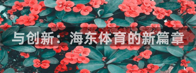 与创新：海东体育的新篇章