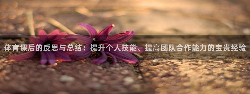 体育课后的反思与总结：提升个人技能、提高团队合作能力的宝贵经验