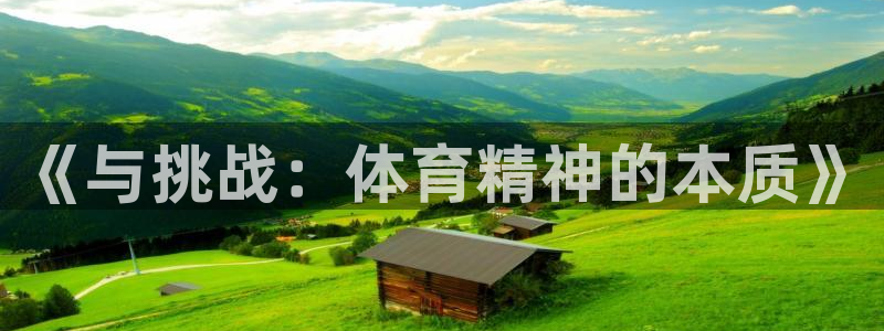 《与挑战：体育精神的本质》