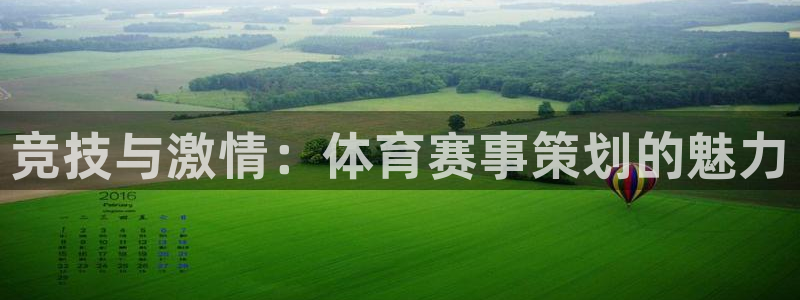 竞技与激情：体育赛事策划的魅力