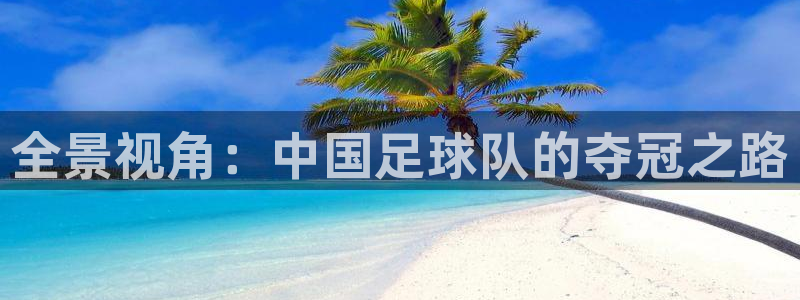 必一运动红标版本：全景视角：中国足球队的夺冠之路