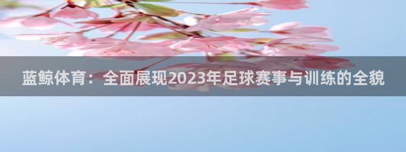 必一运动全站：蓝鲸体育：全面展现2023年足球赛事与训练的全貌