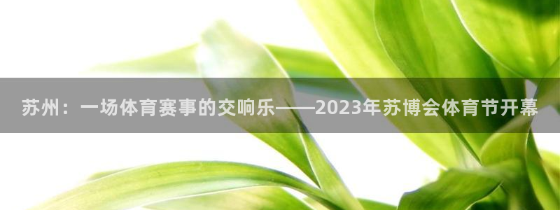 必一体育app下载：苏州：一场体育赛事的交响乐——2023年苏博会体育节开幕