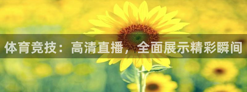 必一运动公司简介：体育竞技：高清直播，全面展示精彩瞬间