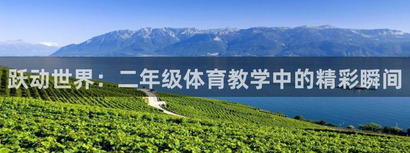 必一运动红标版本：跃动世界：二年级体育教学中的精彩瞬间