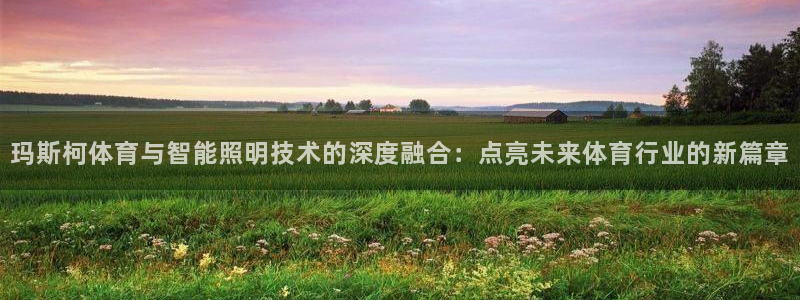 必一运动bsports官网：玛斯柯体育与智能照明技术的深度融合：点亮未来体育行业